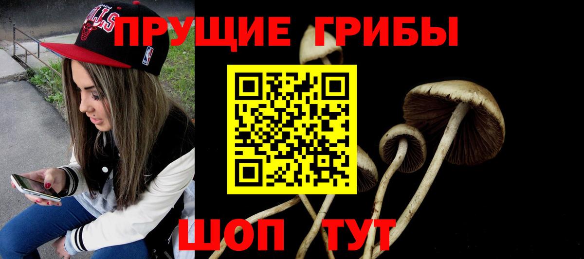 Псилоцибиновые грибы MAGIC MUSHROOMS  Галлюциногенные грибы Psilocybine cubensis  Симферополь  Вход с VPN 